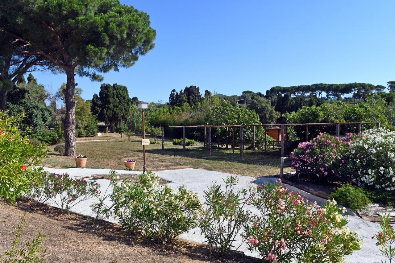Le Rondini Bed and Breakfast Montrás Εξωτερικό φωτογραφία